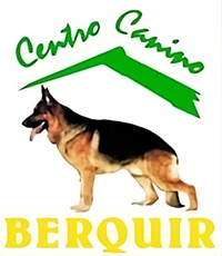 educador canino berquir